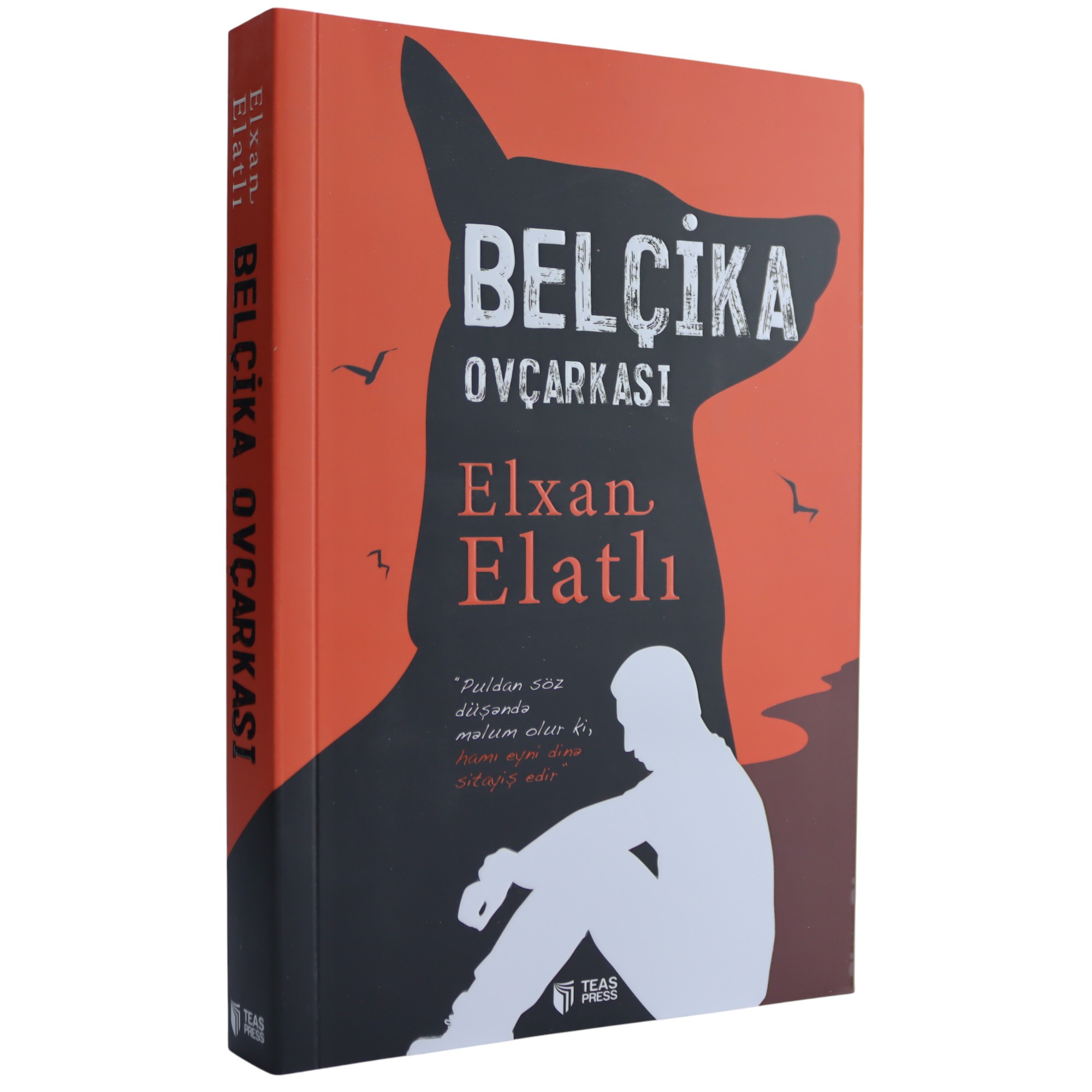 K. Aze. Belçika Ovçarkası / Elxan Elatlı
